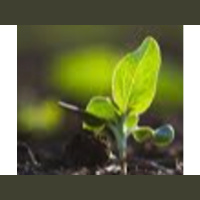 37 Trillion Cells in Your Body, Every Single Cell Requires Minerals To Function