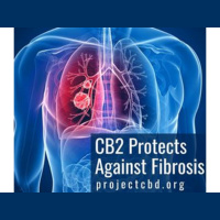 Martin Lee - The Essential Guide to CBD