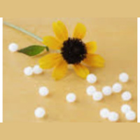 WellnessWiz Jack Tips - Immune Preparedness  Viral Concerns