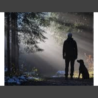 Sound Health Options - Ttmg  Sharry Edwards