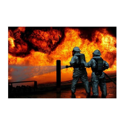 Sound Health Options - Ttmg  Sharry Edwards