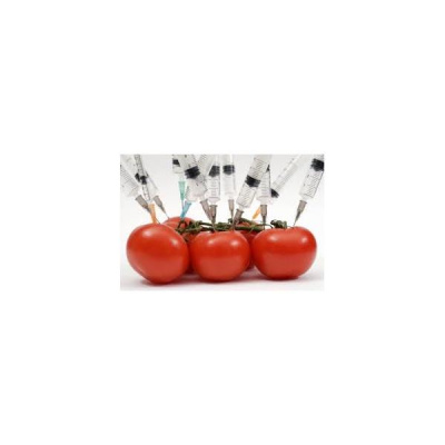 Sound Health Options - Ttmg  Sharry Edwards