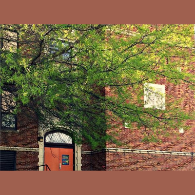 Sound Health Options - Ttmg  Sharry Edwards