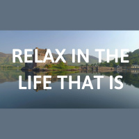 RELAX IN THE LIFE THAT IS GUIDED SLEEP MEDITATION