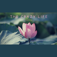 Episode 135 Being well with Lauren