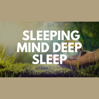 SLEEPING MIND DEEP SLEEP GUIDED MEDITATION
