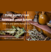 Episode 155 Being well with Lauren