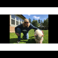 Coming Down from the Holiday Season