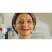 Huntingtons Disease Alters Human Development in the Fetal Stage