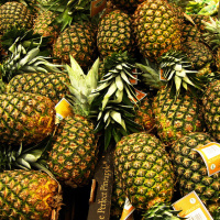 FOOD on Transparent: Yoga and Everyday Life 