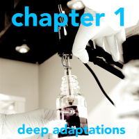 Body of Knowledge  —  Chapter 1  —  Deep Adaptations