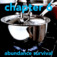 Body of Knowledge  — Chapter 6  —  Abundance Survival