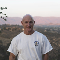 The Strong Coach  — Trainer or Rent a Friend? w/ Paul Chek — 8