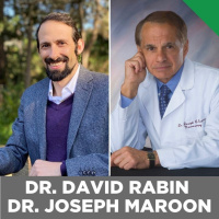 The Future Of Health Care, Wearables, AI, Plant Medicine  More With Dr. David Rabin  Dr. Joseph Maroon.