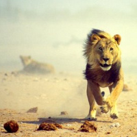 Episode #185: Is Cortisol Good Or Bad?