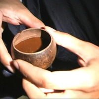 Podcast INSIDER - Ayahuasca 101: Everything You Need To Know About A Potent Adaptogenic Drink