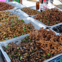 Is Eating Insects Healthy, Should Kids Run Long Distances, How To Get Fit With A Sauna  Much More.