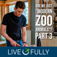 Are We Just *Modern Zoo Animals*? The Ancestral Mismatch (Part 3)