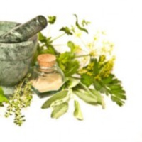 Podcast Episode #84: Chinese Medicine  Why Sugars Don’t Add Up Right on Food Labels