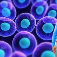 Lightning Speed Healing Hack or Overpriced Fad? What You Need To Know About Stem Cells.