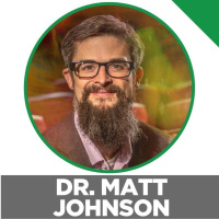 What Happens During A Psychedelic Journey: Dr. Matthew Johnson On Psychedelic Treatment Room, The State Of Psychedelic Research  Future of Psychedelic Therapy.
