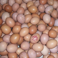 Podcast Episode #73: What Your Doctor Doesn’t Tell You About Cholesterol