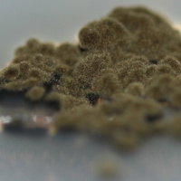 The #1 Appliance In Your Home That Churns Out Hidden Toxins, And What You Can Do About It.