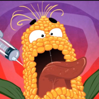 Is The GMO Food Scare Blown Out Of Proportion, Top 5 MMA Biohacks  Much More!