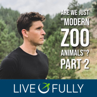 Are We Just *Modern Zoo Animals*? The Ancestral Mismatch (Part 2)