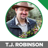 What Olive Oil Should Taste Like, The Scary Truth About Olive Oil, Can You Cook With Extra Virgin Olive Oil  Much More!