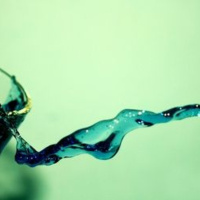 The Ultimate Superfood Youve Probably Never Heard Of