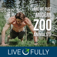 Are We Just *Modern Zoo Animals*? The Ancestral Mismatch (Part 1)