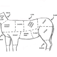 5 Ways To Mitigate Damage From Endurance Sports, Is Deer Meat Healthy, Is Progesterone Dangerous  Much More!