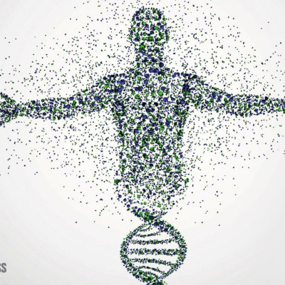 Ben Greenfield Fitness: Diet, Fat Loss And Performance