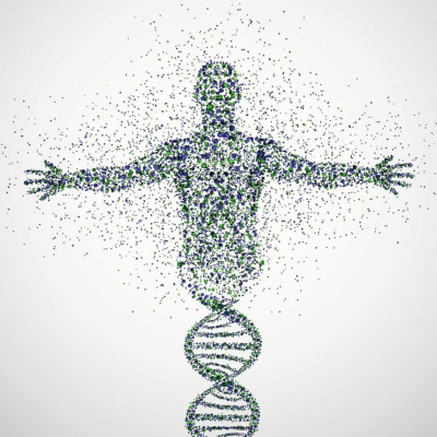 Ben Greenfield Fitness: Diet, Fat Loss And Performance