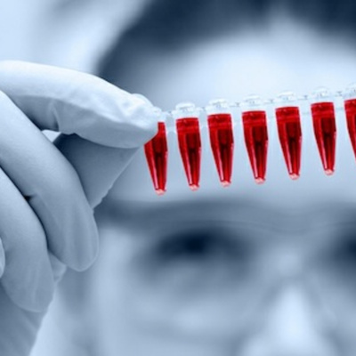 Ben Greenfield Fitness: Diet, Fat Loss And Performance