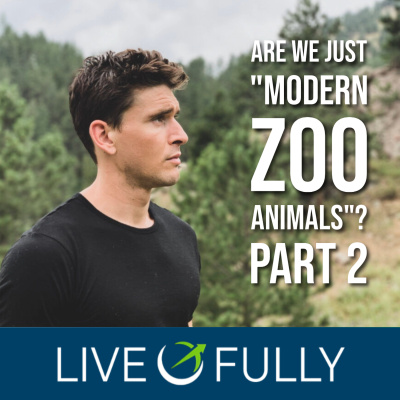 Ben Greenfield Fitness: Diet, Fat Loss And Performance