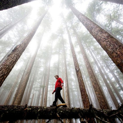 Ben Greenfield Fitness: Diet, Fat Loss And Performance