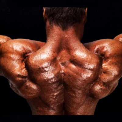 Muscle Expert Podcast | Ben Pakulski Interviews | How To Build Muscle  Dominate Life