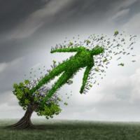 ACEs and Primal Health