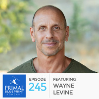 #245: Wayne Levine 