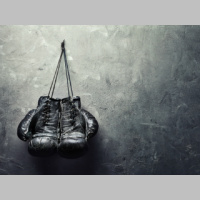 The Primal Competitive Instinct: What Is It Good for?