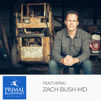 Zach Bush MD