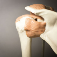 Why Training Your Tendons Is Important (and 11 Ways to Do It)