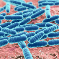 5 Non-Dietary Factors That Influence Your Microbiome