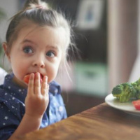 The Definitive Guide to Children’s Nutrition