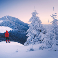 8 Primal Things to Appreciate about the Winter Season