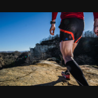 7 Habits of Highly Successful Primal Endurance Athletes
