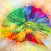 Do “Dominant” Neurotransmitters Impact Training? (and a Giveaway)