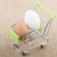 How to Buy (and Appreciate) Eggs